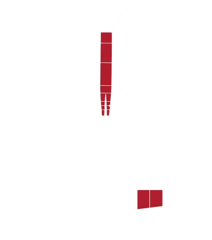 The Douglas DC-3